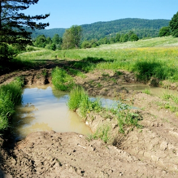 radziejowa2019d Radziejowa (foto: P. Szechyński)