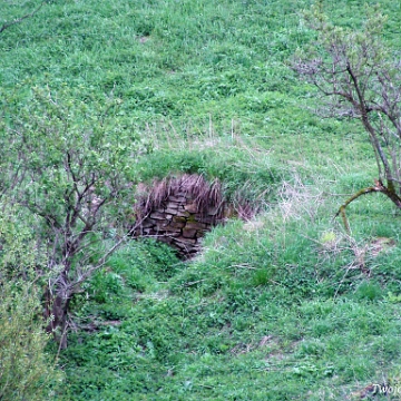 tyskowa2005c Tyskowa, stara piwnica, 2005 (foto: P. Szechyński)