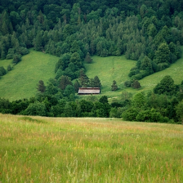 tyskowa2019c Tyskowa, 2019 (foto: P. Szechyński)