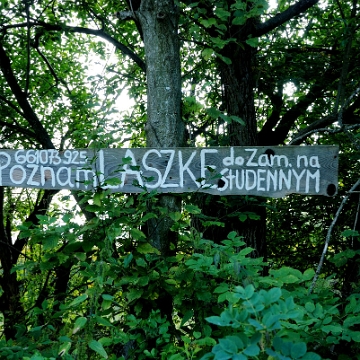 studenne2017f Studenne, 2017 (foto: P. Szechyński)