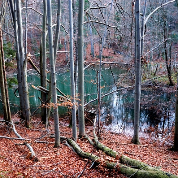 jdusz2009c Jeziorka Duszatyńskie, jesień (foto: P. Szechyński)