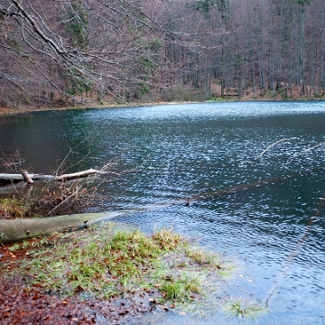 jdusz2009e Jeziorka Duszatyńskie, jesień (foto: P. Szechyński)