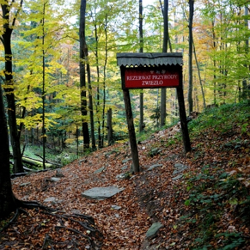 jdusz2013a Jeziorka Duszatyńskie, rezerwat Zwiezło, jesień (foto: P. Szechyński)