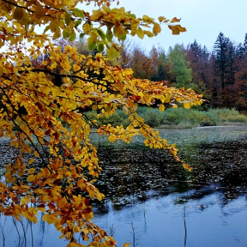 jdusz2013e Jeziorka Duszatyńskie, jesień (foto: P. Szechyński)