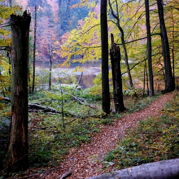 jdusz2013f Jeziorka Duszatyńskie, jesień (foto: P. Szechyński)