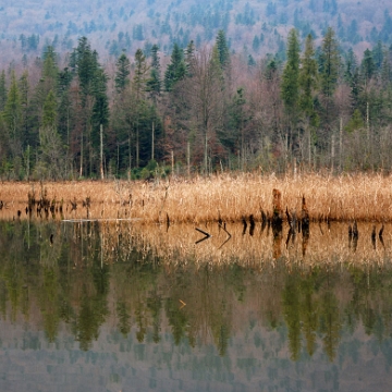 bobrowe2009a Jeziorko Bobrowe, jesień (foto: P. Szechyński)