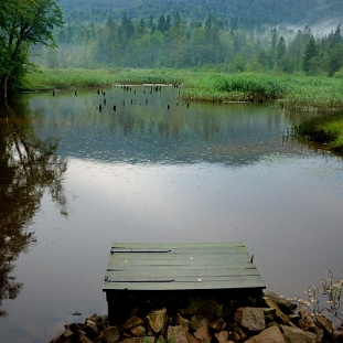 bobrowe2018a Jeziorko Bobrowe w deszczu (foto: P. Szechyński)