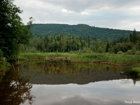 Jeziorko Bobrowe w pobliżu nieistniejącej wsi Huczwice