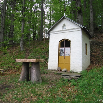 gawgan1 Kapliczka na Gawgani k.Kalnicy, 2006 (foto: J. Milczanowska)