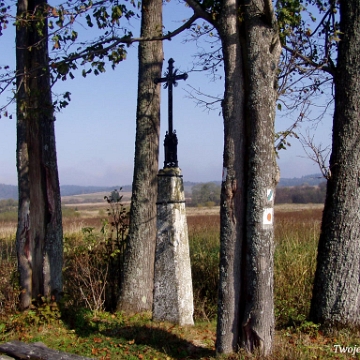 dzwiniacz2006a Krzyż przydrożny, Dźwiniacz Górny, 2007 (fot. P. Szechyński)