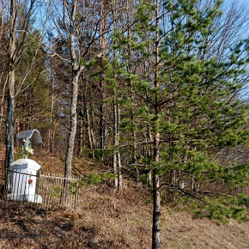 komancza2011b Komańcza, krzyż przydrożny, 2011 (foto: P. Szechyński)