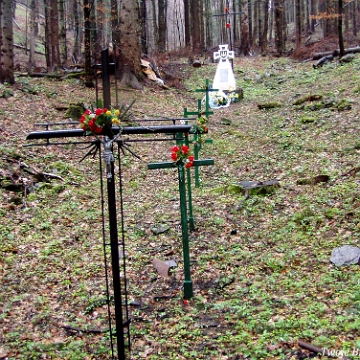 upa2008e Duszatyn (okolica), nieistniejący obelisk oraz krzyże pamięci UPA, wiosna 2008 (foto: P. Szechyński)