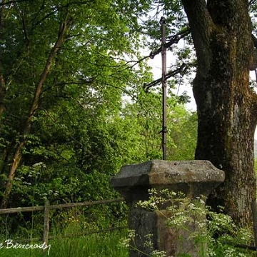 jaworzec-krzyz2 Jaworzec, stary krzyż uchodzący wówczas za pańszczyźniany, 2005 (foto: J. Milczanowska)