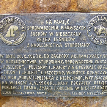 pszczeliny2007a Pszczeliny, na pamiątkę sprowadzenie żubrów, 2007 (foto: P. Szechyński)