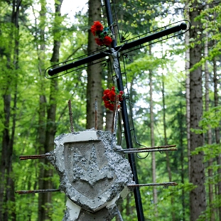 upa2009c Duszatyn (okolica), nieistniejący obelisk pamięci UPA, wiosna 2009 (foto: P. Szechyński)
