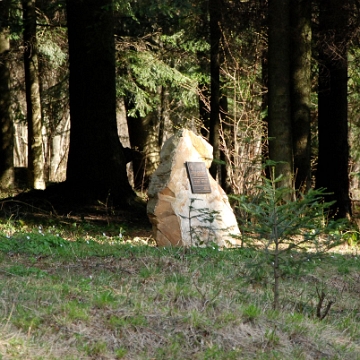 zebrak2009a Wola Michowa, droga na Przełęcz Żebrak, na pamiątkę sprowadzenia żubrów, 2009 (foto: P. Szechyński)