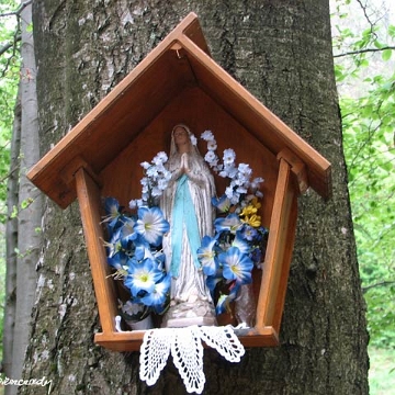 radoszyce Radoszyce, kapliczka nadrzewna (foto: P. Szechyński)
