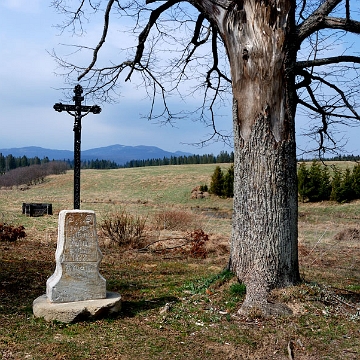 krzyz_beniowa1 Beniowa, krzyż przydrożny Iwana Batko z 1888r, po remoncie. Stan na rok 2014 (foto: P. Szechyński)