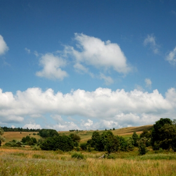 lupkow2010z5 Łupków, 2010 (foto: P. Szechyński)