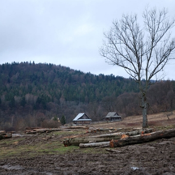 duszatyn2009f Duszatyn, 2009 (foto: P. Szechyński)