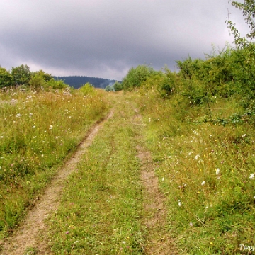 kalnica2004c Droga z Kalnicy na Przełęcz pod Suliłą, 2004 (foto: P. Szechyński)