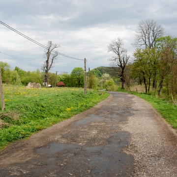 kalnica2009g Kalnica, po prawej miejsce po dworze W. Pola, 2009 (foto: P. Szechyński)