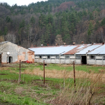 kalnica2010e Kalnica, 2010 (foto: P. Szechyński)