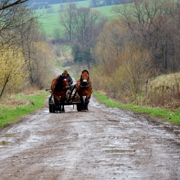 kalnica2010k Kalnica, droga od strony Sukowatego, 2010 (foto: P. Szechyński)