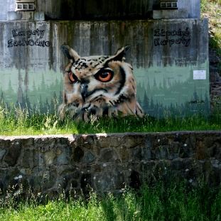 komancza2019r Komańcza, mural A. Andrejkowa pod mostem kolejowym, 2019 (foto: P. Szechyński)