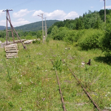 mikow2006a Mików, 2006 (foto: P. Szechyński)