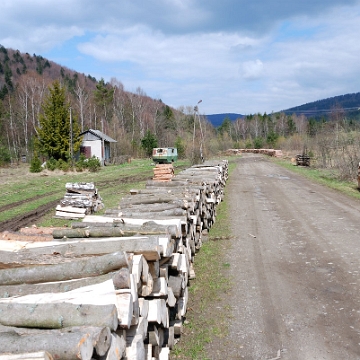 mikow2010z Mików, 2013 (foto: P. Szechyński)