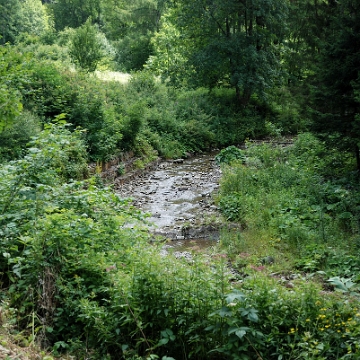 mikow2016f Mików, potok Mikowy, 2016 (foto: P. Szechyński)