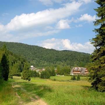 muczne2010b Muczne, zejście z Bukowego Berda, 2010 (foto: P. Szechyński)