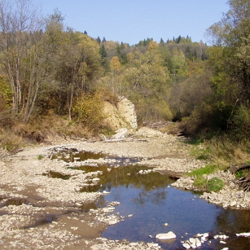 tarnawa2006a Tarnawa Niżna, przyczółki dawnego mostu przy ujściu potoku Roztoki do Sanu, 2006 (foto: P. Szechyński)