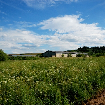 tarnawa2016d Tarnawa Niżna, 2016 (foto: P. Szechyński)