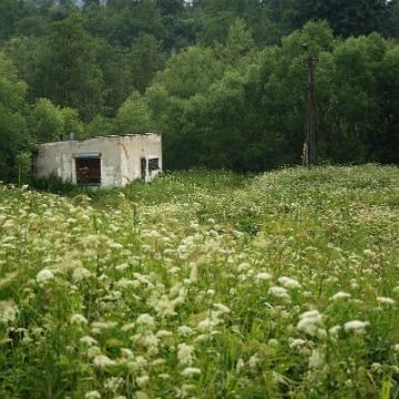 tarnawa2016j Tarnawa Niżna, 2016 (foto: P. Szechyński)