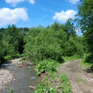 tarnawa2016l Tarnawa Niżna, potok Roztoki (foto: P. Szechyński)