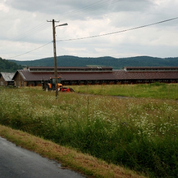 tarnawa2016z2 Tarnawa Niżna, 2016 (foto: P. Szechyński)