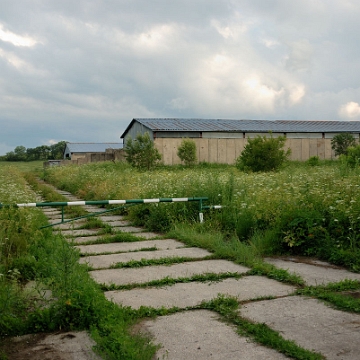 tarnawa2016z6 Tarnawa Niżna, 2016 (foto: P. Szechyński)