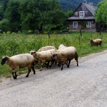 preluki2006c Prełuki, 2006 (foto: P. Szechyński)