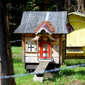 preluki2010f Prełuki, pasieka, 2010 (foto: P. Szechyński)