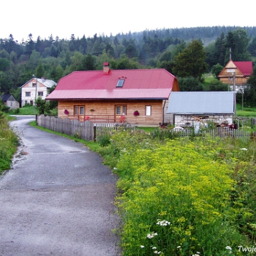 rzepedz2004c Rzepedź, 2004 (foto: P. Szechyński)