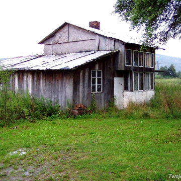 rzepedz2004d Rzepedź, 2004 (foto: P. Szechyński)