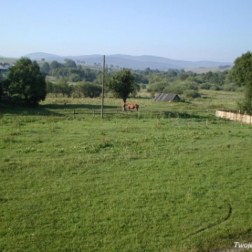 smolnik2003a Smolnik, 2003 (foto: P. Szechyński)