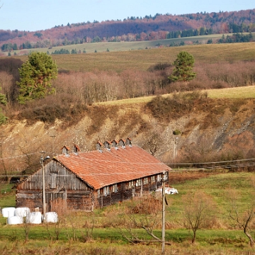 smolnik2009d Smolnik, 2009 (foto: P. Szechyński)