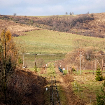 smolnik2009e Smolnik, 2009 (foto: P. Szechyński)