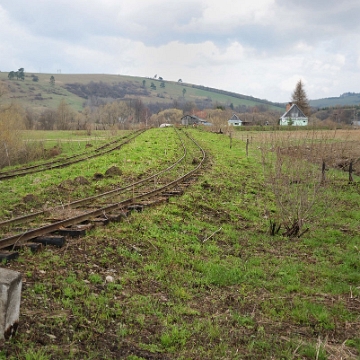 smolnik2010e Smolnik, 2010 (foto: P. Szechyński)