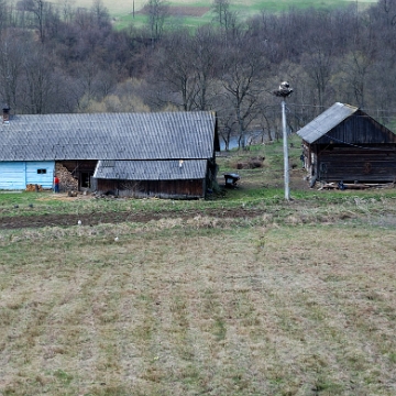 smolnik2010r Smolnik, 2010 (foto: P. Szechyński)