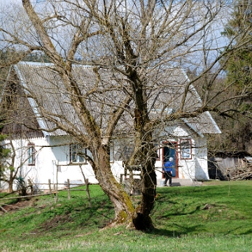 smolnik2010t Smolnik, 2010 (foto: P. Szechyński)