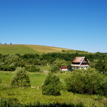 smolnik2013b Smolnik, 2013 (foto: P. Szechyński)